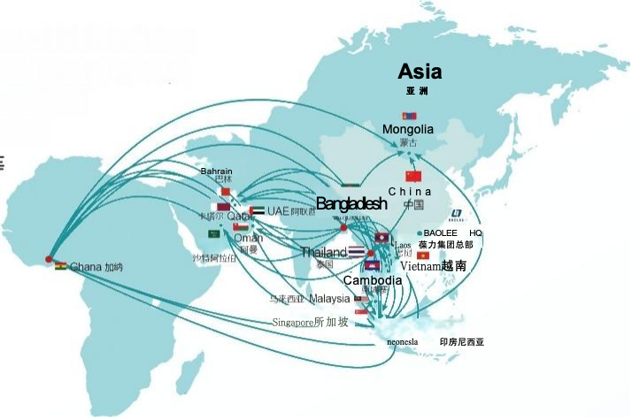 Baolee Overseas International Team and Global Deployment
